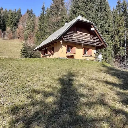 Pocitniska Hisa Jeklar Holiday home *