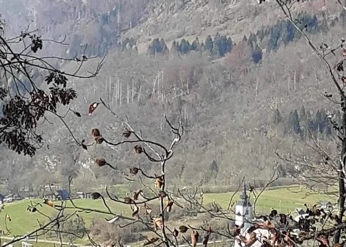 Pocitniska Hisa Jeklar Feriehus *